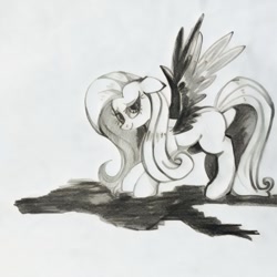 Size: 1073x1073 | Tagged: safe, artist:rupony, fluttershy, pegasus, pony, female, lidded eyes, looking at you, looking sideways, mare, missing cutie mark, monochrome, smiling, solo, spread wings, wingboner, wings