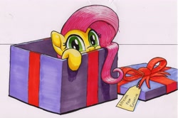 Size: 3434x2276 | Tagged: safe, artist:bbqninja501st, fluttershy, pegasus, pony, advent calendar, box, cute, daaaaaaaaaaaw, female, hnnng, looking at you, mare, peeking, pony in a box, present, shyabetes, solo, traditional art