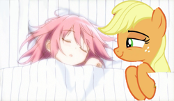 Size: 1003x580 | Tagged: safe, applejack, human, pony, applejack's bed partner, crossover, crossover shipping, exploitable meme, madoka kaname, meme, puella magi madoka magica, shipping