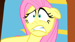 Size: 1920x1080 | Tagged: safe, screencap, fluttershy, pegasus, pony, female, mare, pink mane, worried, yellow coat