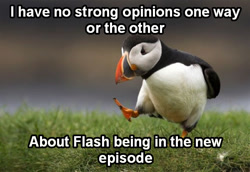 Size: 600x413 | Tagged: safe, edit, flash sentry, puffin, three's a crowd, barely pony related, image macro, neutral response, photo, text, unpopular opinion puffin