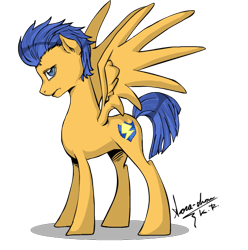 Size: 490x494 | Tagged: safe, artist:sora-chan10, flash sentry, pegasus, pony, male, simple background, solo, stallion