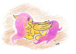 Size: 1377x990 | Tagged: safe, artist:pony-from-everfree, fluttershy, pegasus, pony, eyes closed, female, folded wings, hair over one eye, mare, prone, sleeping, solo, traditional art