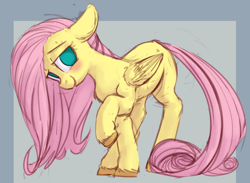 Size: 956x701 | Tagged: safe, artist:deeriojim, artist:yoditax, fluttershy, pegasus, pony, blushing, chest fluff, colored, colored sketch, female, floppy ears, fluffy, folded wings, head tilt, looking at you, looking sideways, mare, missing cutie mark, no pupils, raised hoof, simple background, smiling, solo, wings