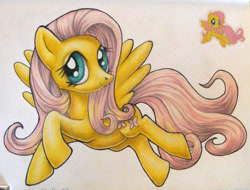 Size: 1054x800 | Tagged: safe, artist:andpie, fluttershy, pegasus, pony, female, mare, solo, traditional art