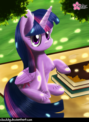 Size: 722x1000 | Tagged: safe, artist:clouddg, derpibooru import, twilight sparkle, twilight sparkle (alicorn), alicorn, pony, book, female, mare, solo