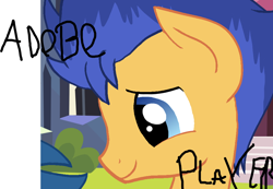 Size: 948x656 | Tagged: safe, flash sentry, pegasus, pony, adobe flash, blue mane, male, orange coat, pun, stallion