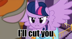 Size: 540x290 | Tagged: safe, derpibooru import, screencap, discord, twilight sparkle, twilight sparkle (alicorn), alicorn, pony, make new friends but keep discord, female, image macro, mare, meme