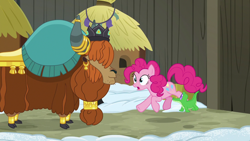 Size: 1280x720 | Tagged: safe, screencap, gummy, pinkie pie, prince rutherford, pony, yak, not asking for trouble, cloven hooves, female, male