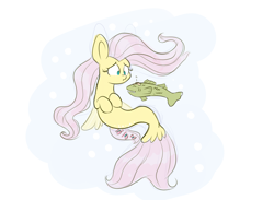 Size: 1500x1100 | Tagged: safe, artist:heir-of-rick, fluttershy, fish, pony, seapony (g4), bandaid, duo, female, hooves to the chest, looking at something, mare, seaponified, seapony fluttershy, species swap, swimming, underwater, watershy