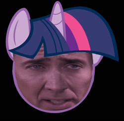 Size: 800x778 | Tagged: safe, derpibooru import, edit, twilight sparkle, human, irl, irl human, nicolas cage, photo, wat