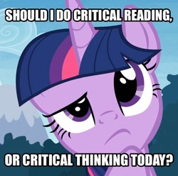 Size: 606x602 | Tagged: safe, derpibooru import, screencap, twilight sparkle, twilight sparkle (alicorn), alicorn, pony, choice, image macro, meme, solo