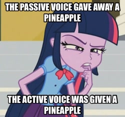 Size: 606x567 | Tagged: safe, derpibooru import, screencap, twilight sparkle, twilight sparkle (alicorn), alicorn, equestria girls, image macro, meme, solo