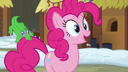 Size: 1280x720 | Tagged: safe, screencap, gummy, pinkie pie, pony, not asking for trouble, biting, tail bite