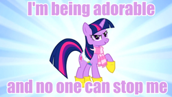 Size: 960x540 | Tagged: safe, derpibooru import, screencap, twilight sparkle, boots, clothes, cute, image macro, looking at you, meme, purple text, raised hoof, saddle, scarf, smirk, solo