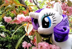 Size: 2048x1383 | Tagged: safe, photographer:pakapaka1993, rarity, cherry blossoms, flower, flower blossom, irl, japan, photo, plushie, solo