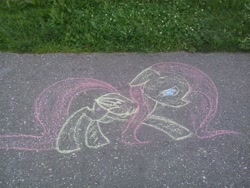 Size: 2048x1536 | Tagged: safe, artist:lixthefork, fluttershy, pegasus, pony, chalk drawing, photo, solo, traditional art