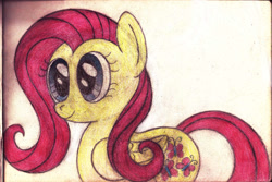 Size: 877x587 | Tagged: safe, artist:mfg637, fluttershy, pegasus, pony, female, mare, solo, traditional art