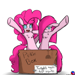 Size: 1280x1280 | Tagged: safe, artist:genericmlp, pinkie pie, pony, box, chest fluff, duality, pinkamena diane pie, pony in a box, self ponidox