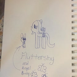 Size: 640x640 | Tagged: safe, artist:nightshadowmlp, angel bunny, fluttershy, pegasus, pony, rabbit, female, freehand, male, mare, simple background, sketchbook, traditional art, white background