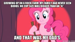 Size: 600x337 | Tagged: safe, edit, edited screencap, screencap, pinkie pie, earth pony, pony, baby cakes, american dad, image macro, meme