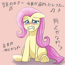 Size: 2952x2952 | Tagged: safe, artist:sumin6301, fluttershy, pegasus, pony, crying, female, floppy ears, gritted teeth, japanese, mare, sad, sitting, solo, teary eyes, translation request