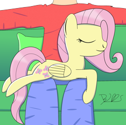 Size: 1742x1722 | Tagged: safe, artist:trackheadtherobopony, fluttershy, human, behaving like a cat, cute, duo, pillow, shyabetes, signature, sleeping, sofa