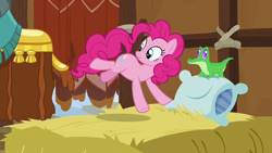 Size: 1280x720 | Tagged: safe, screencap, gummy, pinkie pie, prince rutherford, pony, yak, not asking for trouble, hay, hay bale, pinkie being pinkie, pinkie physics