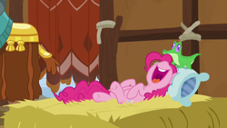 Size: 1280x720 | Tagged: safe, screencap, gummy, pinkie pie, prince rutherford, earth pony, pony, yak, not asking for trouble, hay, hay bale, sleeping