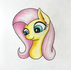 Size: 800x785 | Tagged: safe, artist:vaser888, fluttershy, pegasus, pony, female, mare, pink mane, yellow coat