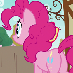 Size: 724x720 | Tagged: safe, screencap, pinkie pie, earth pony, pony, secrets and pies, cropped, female, mare, plot, smiling, solo