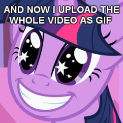 Size: 360x360 | Tagged: safe, derpibooru import, screencap, twilight sparkle, lesson zero, excited, image macro, meme, upload, video as gif