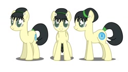 Size: 1280x720 | Tagged: safe, artist:aginpro, avatar the last airbender, ponified, simple background, solo, toph bei fong, white background