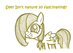 Size: 1078x778 | Tagged: safe, artist:lilboulder-cloudsdalefillies, fluttershy, pegasus, pony, ask cloudsdale fillies, dialogue, excited, female, filly, filly fluttershy, hair over one eye, meme, nature is so fascinating, open mouth, simple background, sketch, smiling, standing, white background, younger