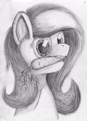 Size: 3000x4168 | Tagged: safe, artist:geljado, fluttershy, pegasus, pony, bust, carrot, drawing, female, food, grayscale, mare, monochrome, mouth hold, sketch, solo, traditional art