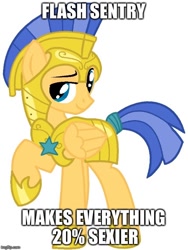 Size: 500x666 | Tagged: safe, flash sentry, pegasus, pony, image macro, male, meme, solo, stallion