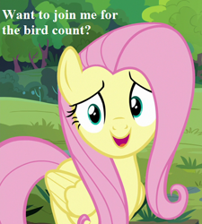 Size: 405x450 | Tagged: safe, edit, edited screencap, screencap, fluttershy, pegasus, pony, fluttershy leans in, bird count, bronybait, cropped, cute, looking at you, shyabetes