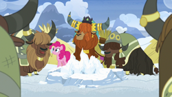 Size: 1280x720 | Tagged: safe, screencap, pinkie pie, prince rutherford, pony, yak, not asking for trouble, snow