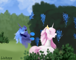 Size: 7000x5600 | Tagged: safe, artist:livitoza, princess celestia, princess luna, alicorn, pony, duo, ethereal mane, female, mare, missing accessory, outdoors, pink-mane celestia, royal sisters, s1 luna