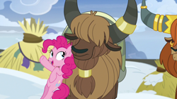 Size: 1280x720 | Tagged: safe, screencap, pinkie pie, prince rutherford, earth pony, pony, yak, not asking for trouble, ear piercing, earring, female, horn ring, jewelry, mare, piercing, snow