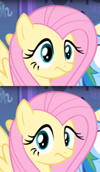 Size: 970x1664 | Tagged: safe, fluttershy, pegasus, pony, funny, ponified, reaction, reaction image, solo, wtf
