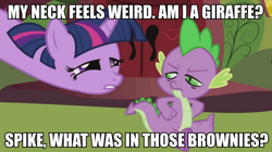 Size: 890x500 | Tagged: safe, derpibooru import, screencap, spike, twilight sparkle, dragon, drugs, high, image macro, meme, stoned, stoner spike