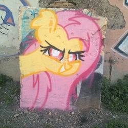 Size: 1200x1200 | Tagged: safe, artist:php69, fluttershy, bat pony, pony, flutterbat, graffiti, irl, looking at you, photo, race swap, smiling, solo, traditional art