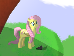 Size: 800x598 | Tagged: safe, fluttershy, pegasus, pony, female, field, ledge, mare, outdoors, shadow, smiling, solo, standing, tree