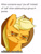 Size: 675x883 | Tagged: safe, artist:sion, edit, applejack, earth pony, pony, bust, colored pupils, eyeshadow, frown, makeup, meme, ponified animal photo, solo, squint, unamused, what in tarnation, y'all