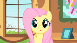 Size: 1280x720 | Tagged: safe, screencap, fluttershy, pegasus, pony, a bird in the hoof, cute, female, looking at you, mare, shyabetes, solo