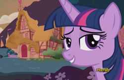 Size: 1272x823 | Tagged: safe, derpibooru import, screencap, twilight sparkle, twilight sparkle (alicorn), alicorn, slice of life (episode), disaster sparkle, ponyville, solo