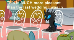 Size: 839x457 | Tagged: safe, derpibooru import, screencap, daisy, flower wishes, kevin (changeling), sassaflash, twilight sparkle, changeling, slice of life (episode), caption, chair, flower, image macro, meme