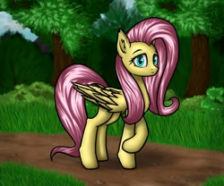 Size: 1200x1000 | Tagged: safe, artist:6editor9, fluttershy, pegasus, pony, female, forest, looking at you, mare, path, raised hoof, smiling, solo, tree