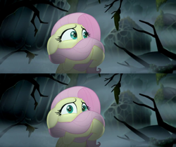 Size: 1280x1069 | Tagged: safe, screencap, fluttershy, pegasus, pony, my little pony: the movie, floppy ears, scared, solo